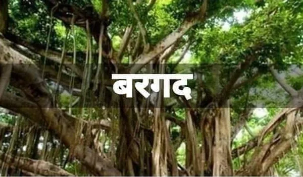 देश के इन तीन पेड़ो को सरकारी साजिश के तहत बंद कराया गया