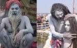 महिला नागा साधु निर्वस्त्र क्यों रहती हैं, जानें वजह