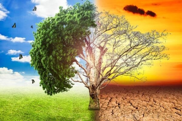 आदिवासी संस्कृति कैसे करेगी ग्लोबल वार्मिंग से बचाव और क्या है चुनौतियाँ