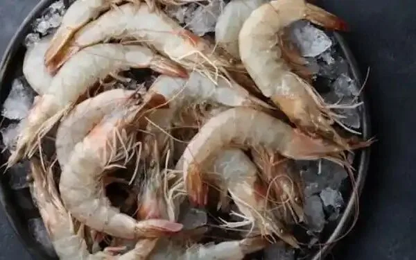 झींगा मछली: स्वाद और सेहत का अनमोल खजाना