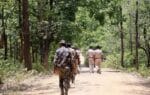 Major Blow to Naxalism: 14 Naxalites Neutralized in Chhattisgarh-Odisha Border Operation