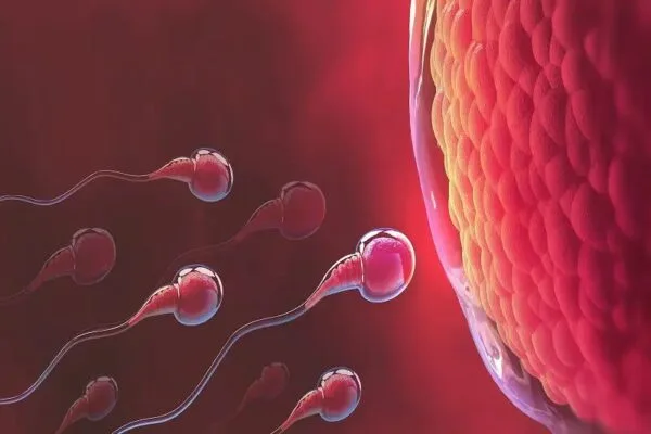 What should be the correct duration of ejaculation during intercourse?