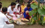 करम पर्व : आदिवासी जीवन का पर्यावरण और सामूहिकता का उत्सव