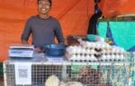 Why Adivasis are Moving Towards Business and Entrepreneurship