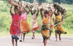 Development’s Shadow: How Projects in Karnataka Threaten Adivasi Land