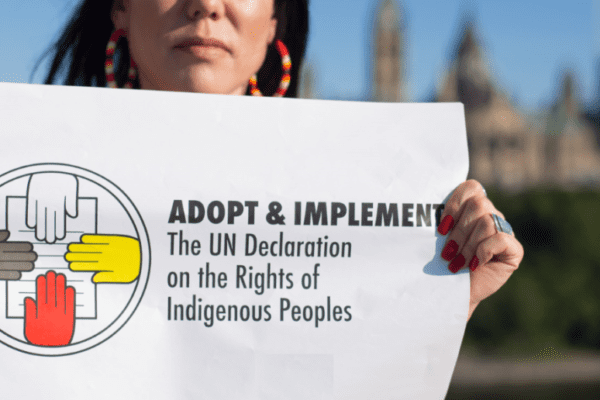 United Nations Declaration on the Rights of Indigenous Peoples: A Global Framework for Justice