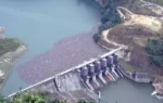 Ukiam Hydroproject आदिवासी संगठनों ने फिर जताया विरोध, संकट में कुलसी नदी और गंगा डॉल्फ़िन