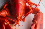 From Prison Rations to Platinum Plates: The Unlikely Ascent of the Lobster