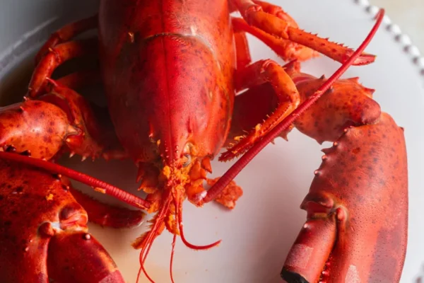 From Prison Rations to Platinum Plates: The Unlikely Ascent of the Lobster
