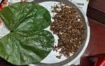 भारत के आदिवासी और कीड़े खाने की परंपरा | Top 10 Tribal Insect Foods
