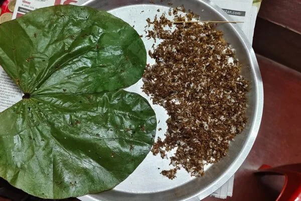 भारत के आदिवासी और कीड़े खाने की परंपरा | Top 10 Tribal Insect Foods