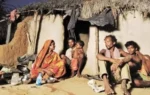 केरल सरकार का “गरीबी मुक्त राज्य” दावा, आदिवासियों ने उठाए सवाल